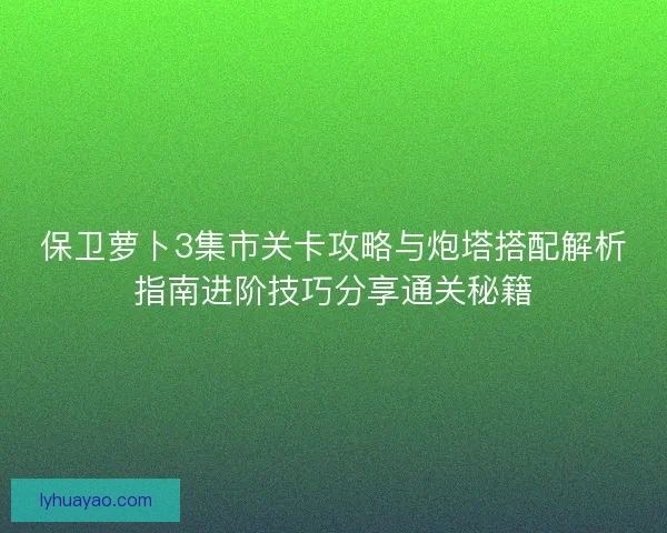 保卫萝卜3集市关卡攻略与炮塔搭配解析指南进阶技巧分享通关秘籍