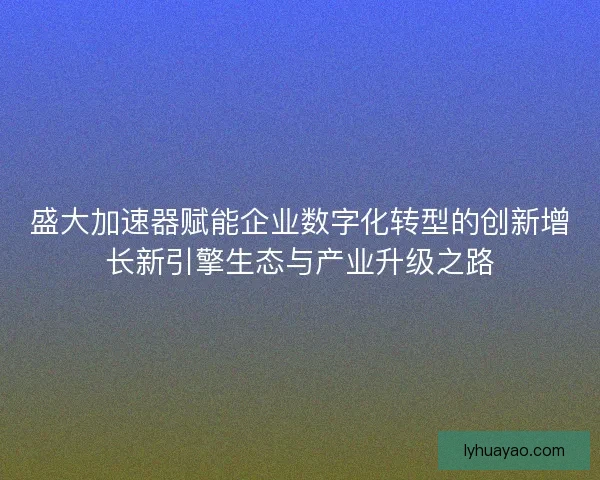 盛大加速器赋能企业数字化转型的创新增长新引擎生态与产业升级之路